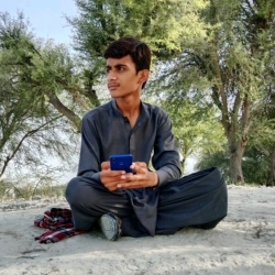 author avatar