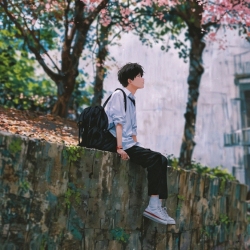 author avatar