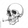 skull ☠️