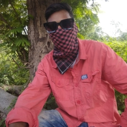 author avatar