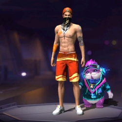 author avatar