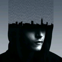 author avatar