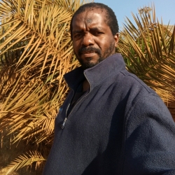 author avatar