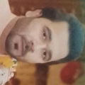 Ali 333