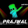 Prajwal r Prajwal r