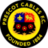live-team-icon
