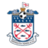 live-team-icon