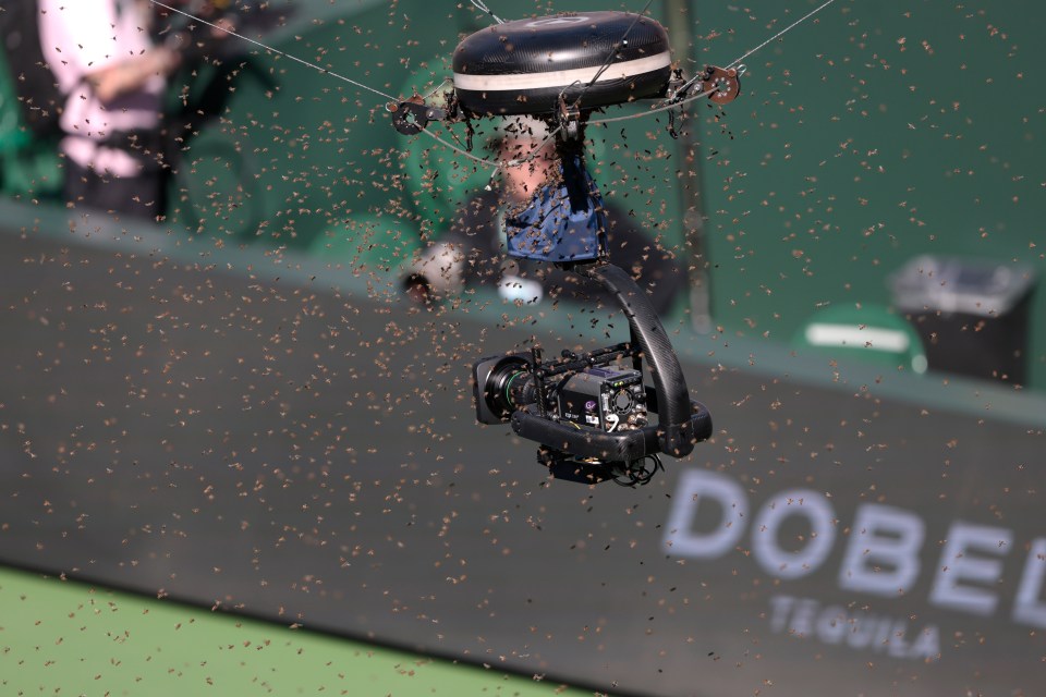 doc-content image