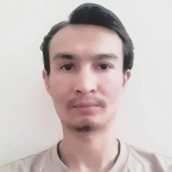 author avatar