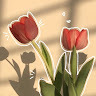 author avatar