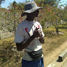 author avatar