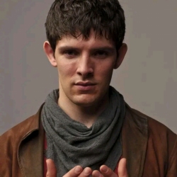 author avatar