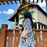 author avatar