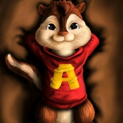 author avatar